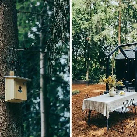 Mysa Tiny House *